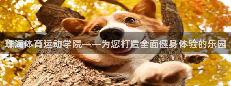 vsport体育官网下载平台注册要钱吗是真的吗：珠海