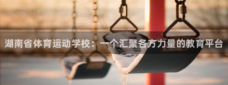 vsport体育官方正版app新能源：湖南省体育运动