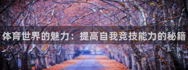 vsport体育官方正版app集团官网首页网址：体育