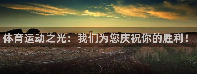 vsport体育官网下载平台：体育运动之光：我们为您