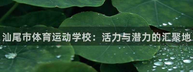 vsport体育官网下载平台注册要钱吗安全吗：汕尾市