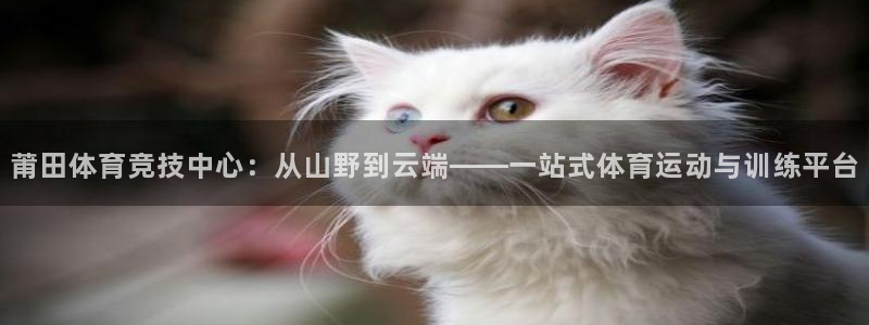 vsport体育官方平台体育：莆田体育竞技中心：从山野到云端