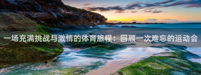 vsport体育官方正版app娱乐：一场充满挑战与激