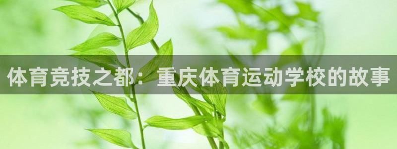 vsport体育官方正版app娱乐首页网站大全：体育