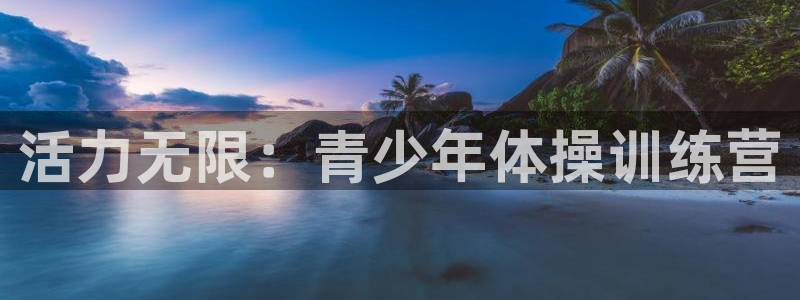 vsport体育官方正版app官方：活力无限：青少年体操训练