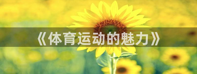 vsport体育官网下载招商电话号码：《体育运动的魅
