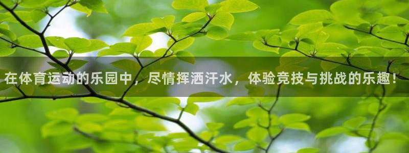 vsport体育官方正版app科技：在体育运动的乐园中，尽情