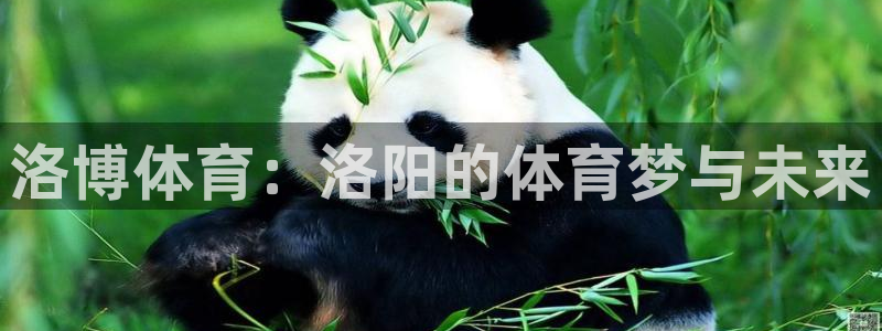 vsport体育官网下载招商：洛博体育：洛阳的体育梦与未来