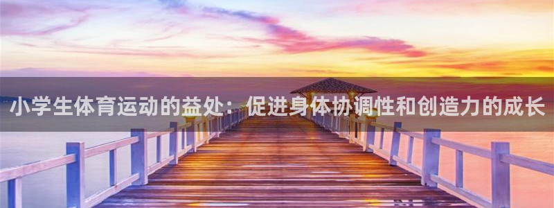 vsport体育官网下载招商电话是多少啊：小学生体育