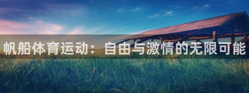 vsport体育官方正版app代理