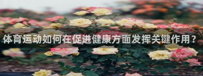 vsport体育官网下载招商：体育运动如何在促进健康方面发挥