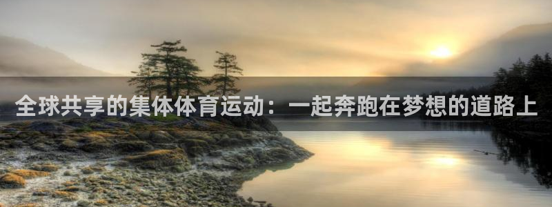 vsport体育官方正版app新能源：全球共享的集体
