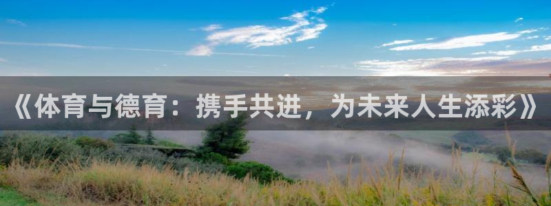 vsport体育官方正版app集团官网首页网址