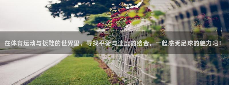 vsport体育官网下载招商电话号码查询：在体育运动与板鞋的