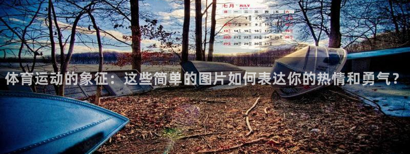vsport体育官方正版app娱乐网站