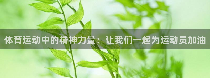 vsport体育官网下载平台注册要钱吗安全吗：体育运
