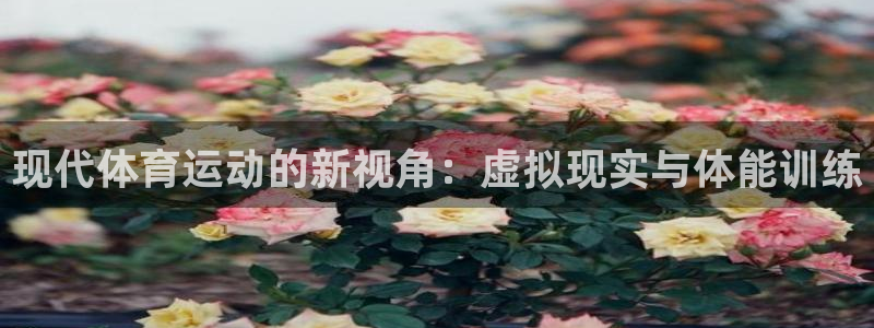 vsport体育官方正版app集团：现代体育运动的新视角：虚