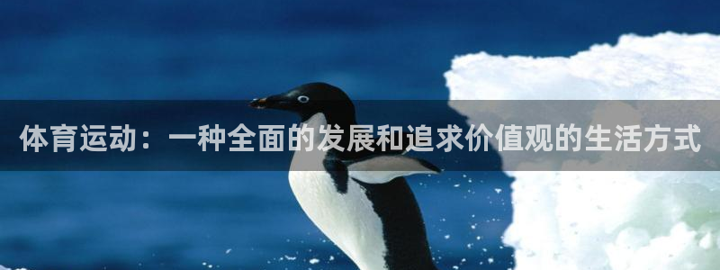 vsport体育在线官网：体育运动：一种全面的发展和追求价值