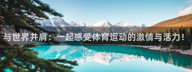 VSport体育平台-胜利因您更精彩：与世界并肩：一起感受体