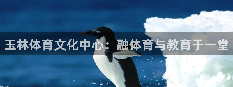 vsport体育在线官网阿根廷：玉林