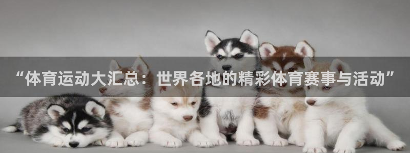 Vsport体育官方网站入口：“体育运动大汇总：世界各地的精