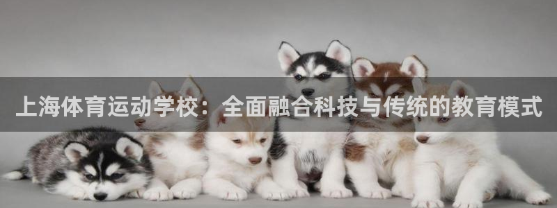 vsport体育阿根廷：上海体育运动学校：全面融合科技与传统