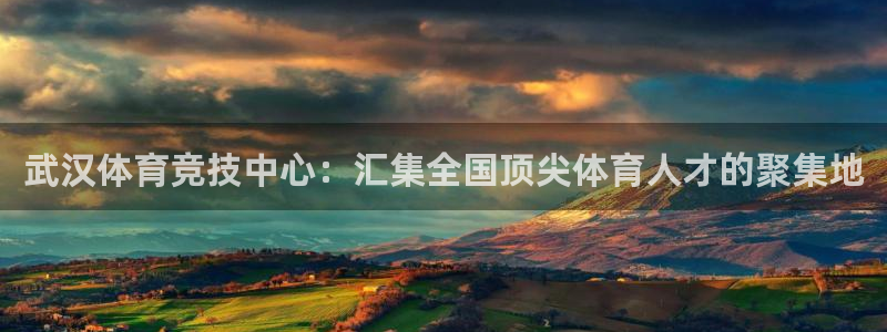 vsport体育官网：武汉体育竞技中心：汇集全国顶尖体育人才