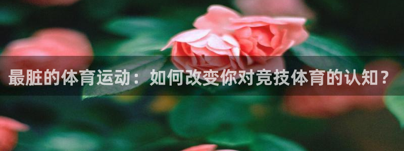 vsport体育平台app：最脏的体育运动：如何改变你对竞技