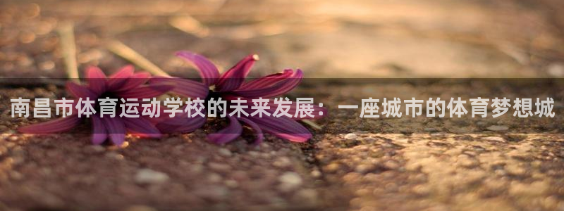 vSport体育app最新版本更新内容：南昌市体育运动学校的