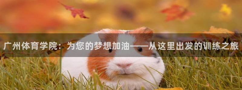 Vsport体育官网：广州体育学院：为您的梦想加油——从这里