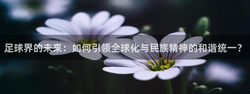 vsport体育平台app：足球界的