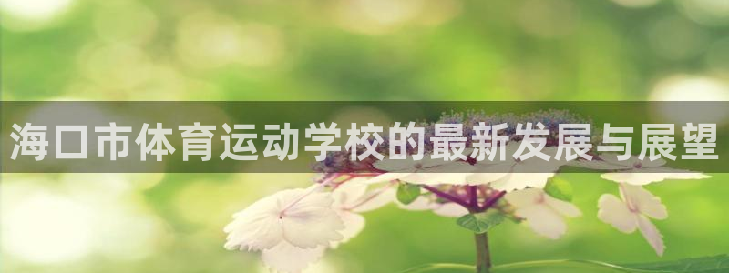 vsport体育阿根廷：海口市体育运
