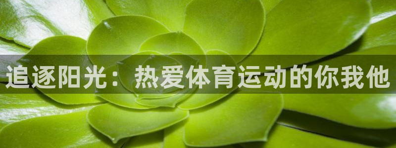 vsport体育在线官网：追逐阳光：