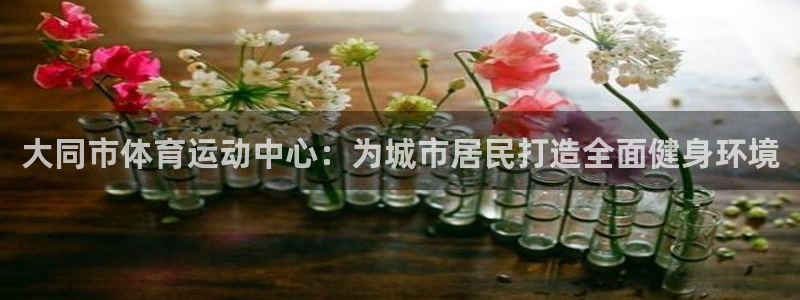 VSport体育平台-胜利因您更精彩