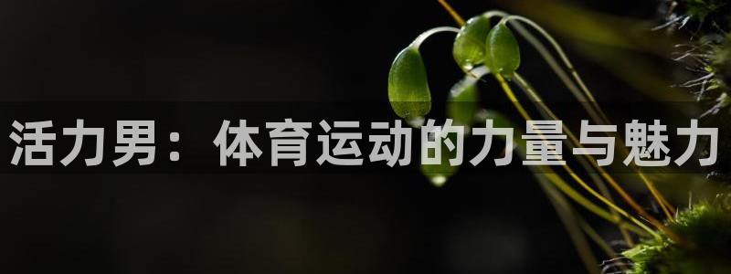 vsport体育平台：活力男：体育运动的力量与魅力