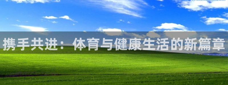 vSport体育在线登录平台