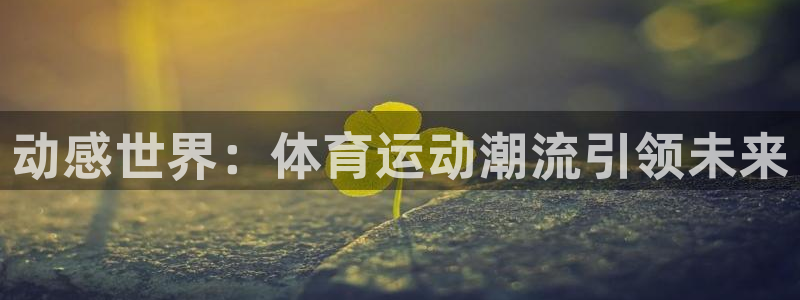 vsport体育官网：动感世界：体育运动潮流引领未来