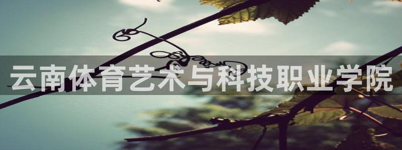  vSport体育app最新版本更新内容：云南体育艺术与科技职