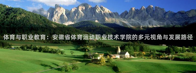 vsport体育官方正版app代理