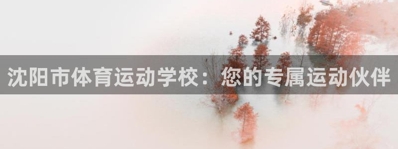 vsport体育官网下载招商电话是多少：沈阳市体育运动学校：