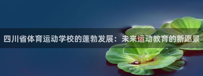vsport体育官网下载招商电话是多少：四川省体育运动学校的