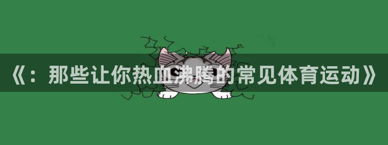 德国vsport体育官方正版app集团