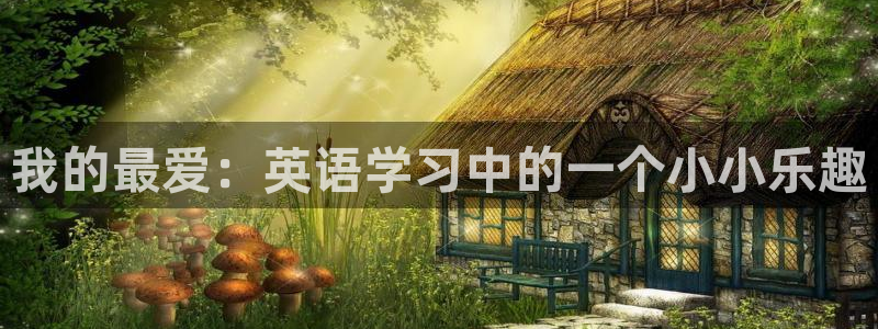 vsport体育官方正版app代理：我的最爱：英语学习中的一